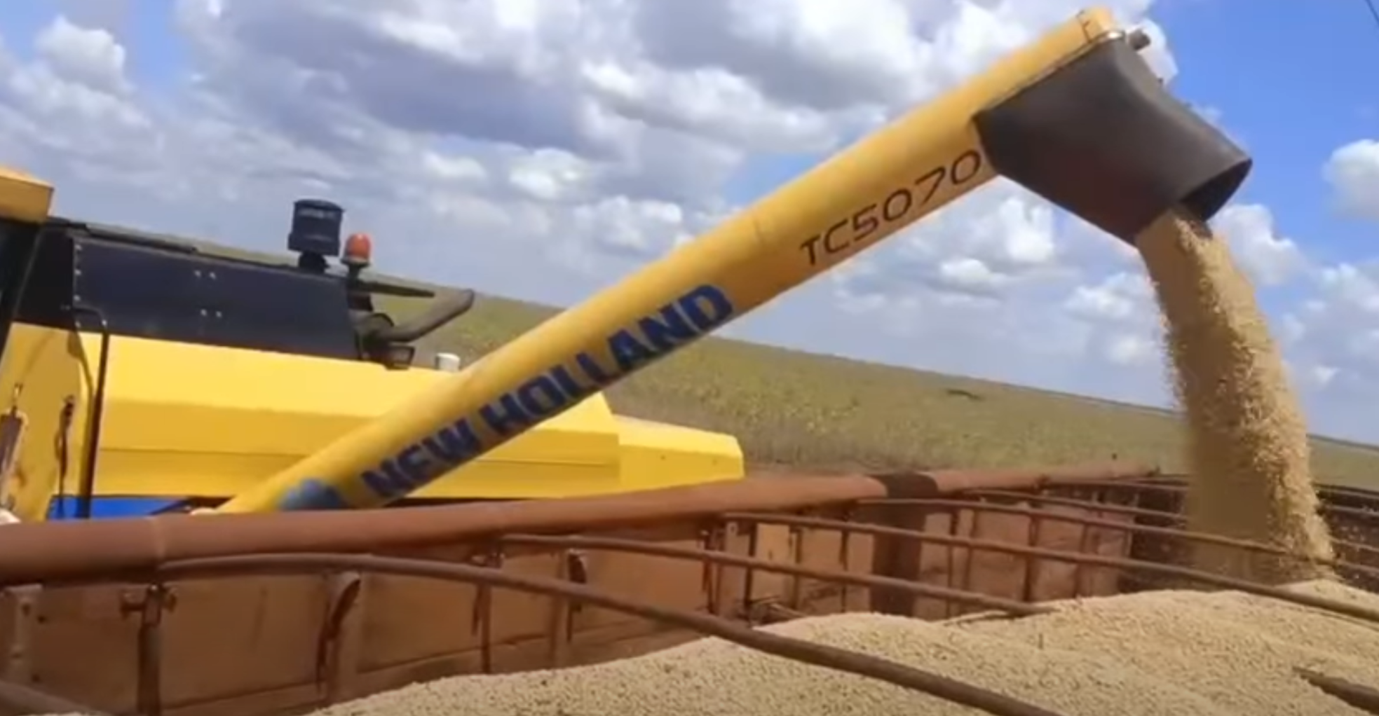 Expectativa no Campo: Produtor e agrônomo de Novo Três Passos avalia colheita de soja para 2026