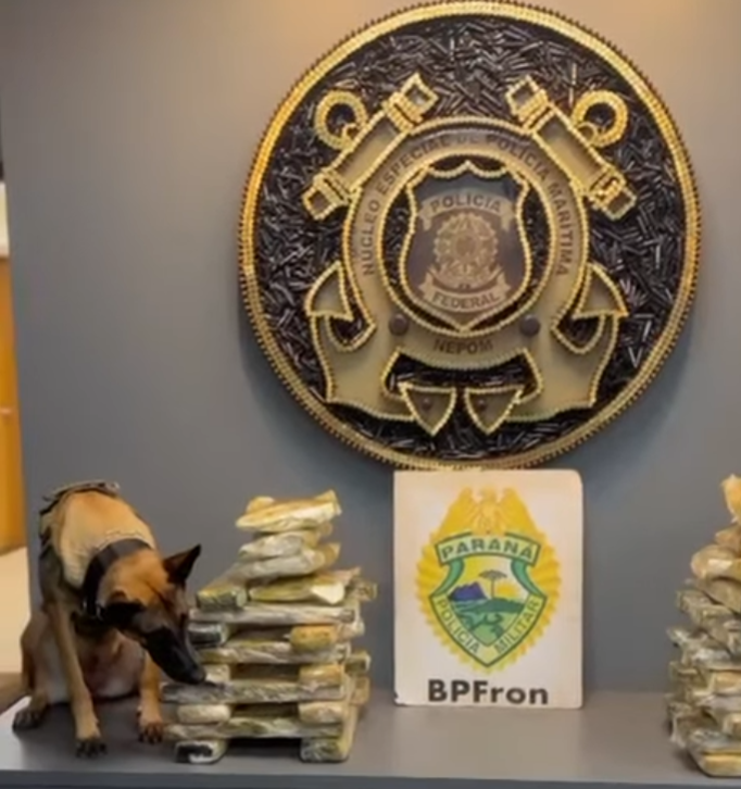 Óleo de Motor Não Engana Cão Farejador: Forças integradas apreendem 33,5 kg de maconha na Ponte Ayrton Senna